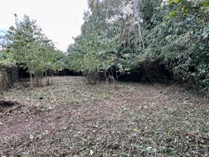 Photo 27- click for photo gallery